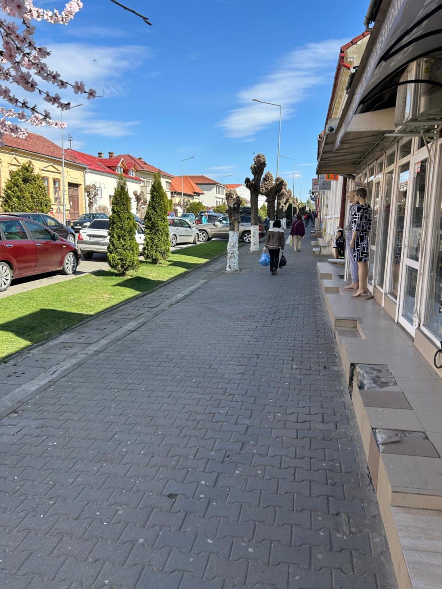 Ferienwohnung Bivolul Negru Blaj Exterior foto