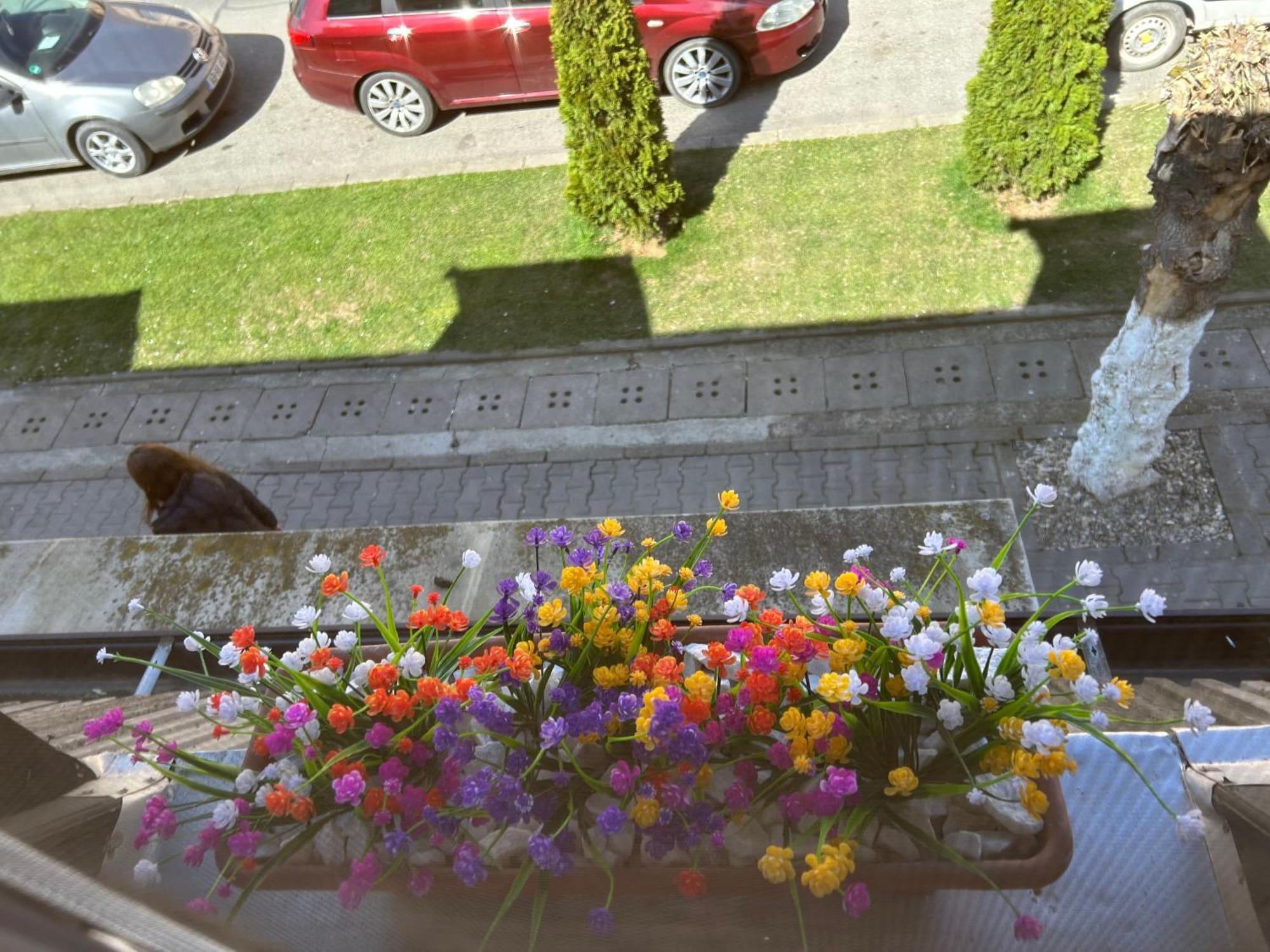 Ferienwohnung Bivolul Negru Blaj Exterior foto
